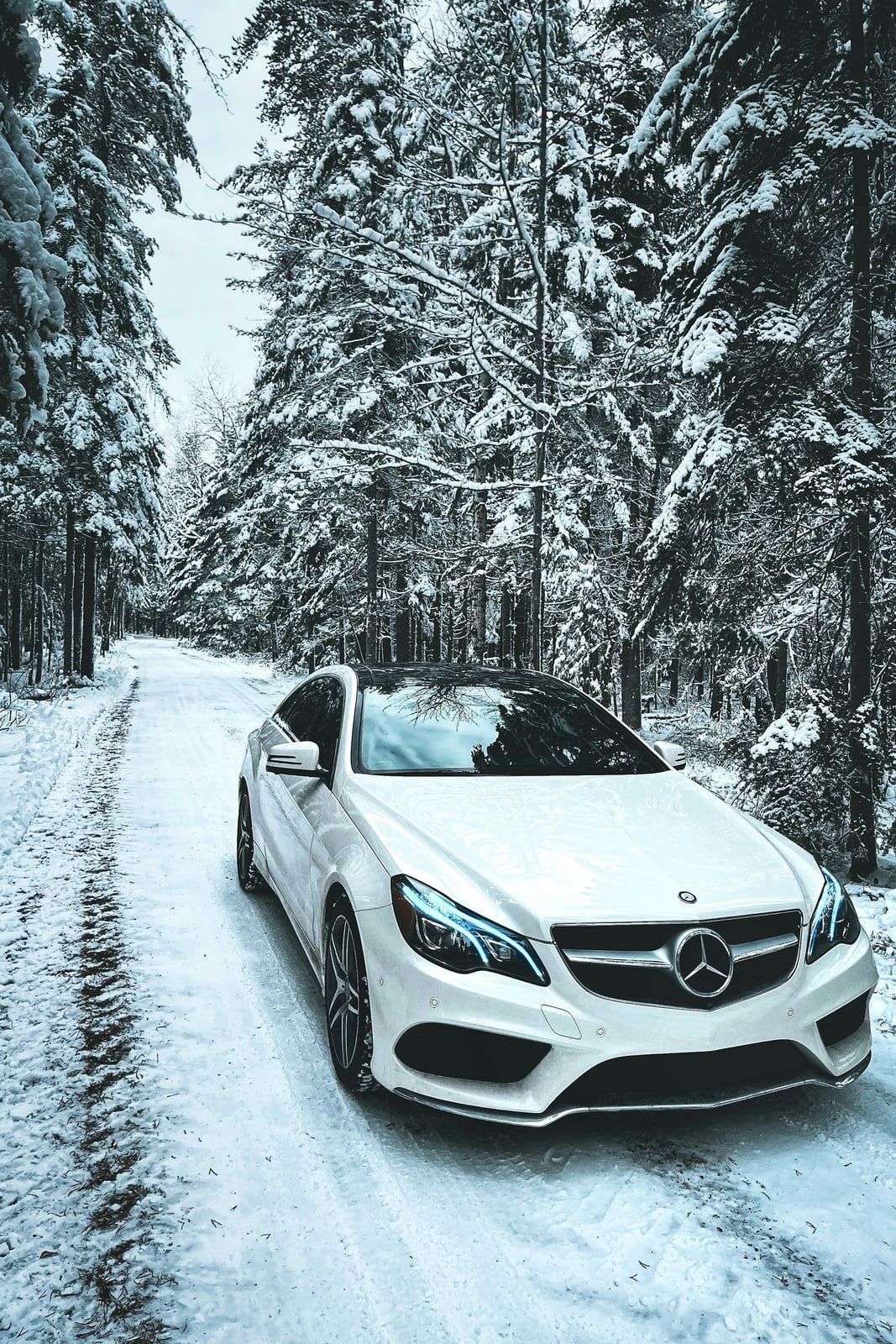 Bílý Mercedes na zasněžené lesní cestě